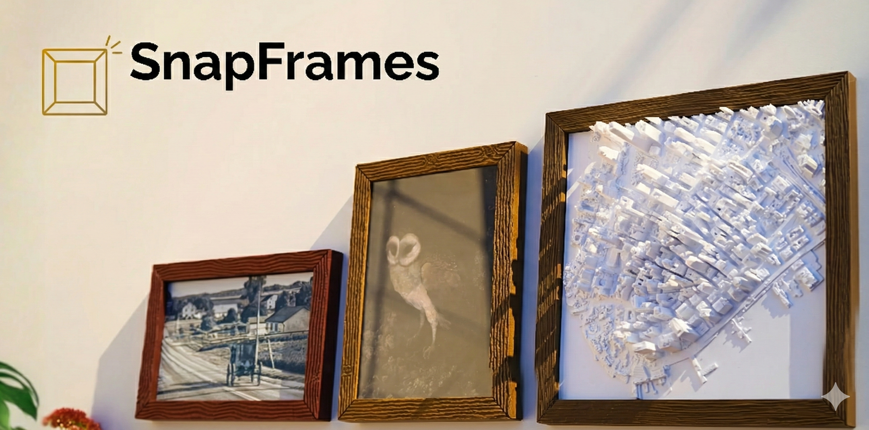 SNAPFRAMES: Burl Wood Collection